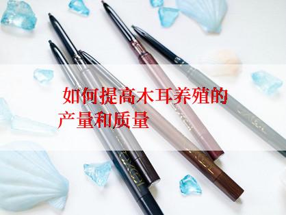  如何提高木耳养殖的产量和质量