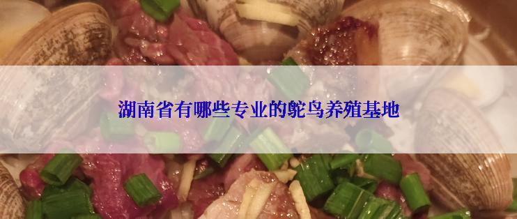 湖南省有哪些专业的鸵鸟养殖基地