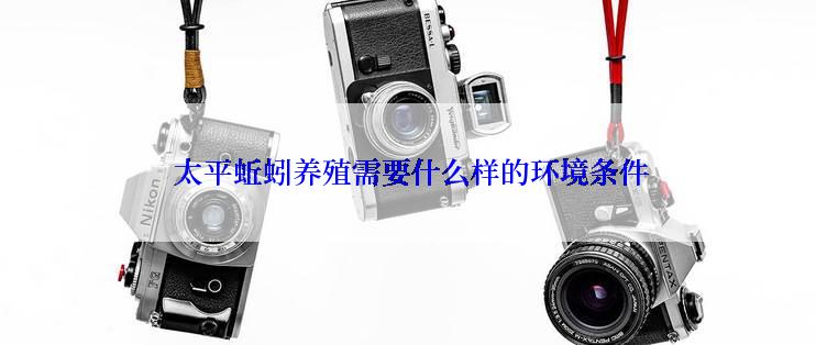 太平蚯蚓养殖需要什么样的环境条件