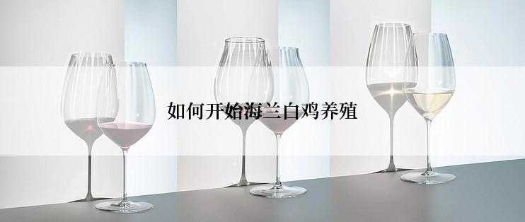 如何开始海兰白鸡养殖