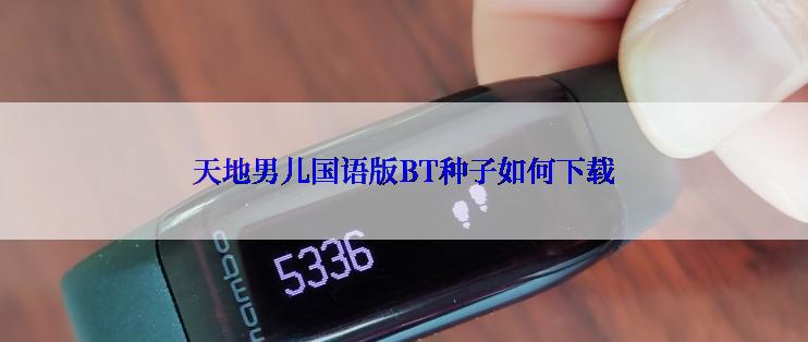 天地男儿国语版BT种子如何下载