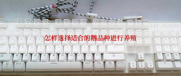 怎样选择适合的鹅品种进行养殖