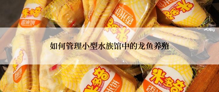 如何管理小型水族馆中的龙鱼养殖