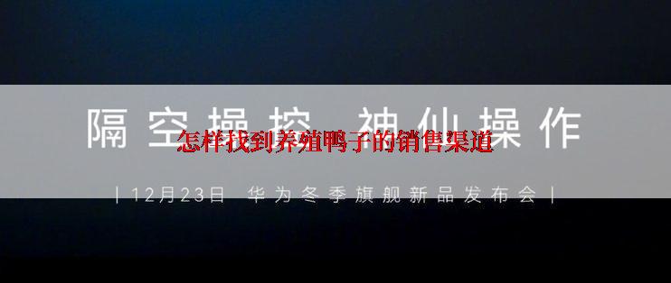 怎样找到养殖鸭子的销售渠道