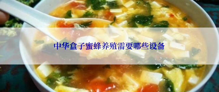 中华盒子蜜蜂养殖需要哪些设备