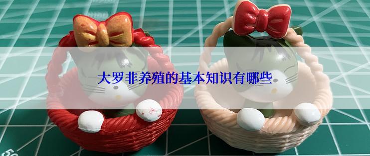 大罗非养殖的基本知识有哪些