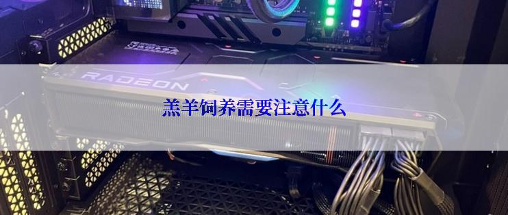 羔羊饲养需要注意什么