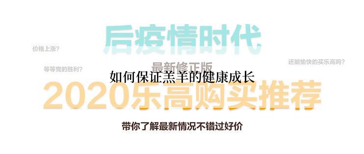 如何保证羔羊的健康成长
