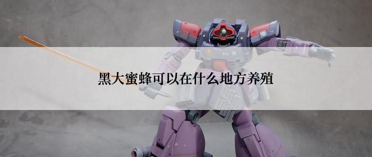 黑大蜜蜂可以在什么地方养殖