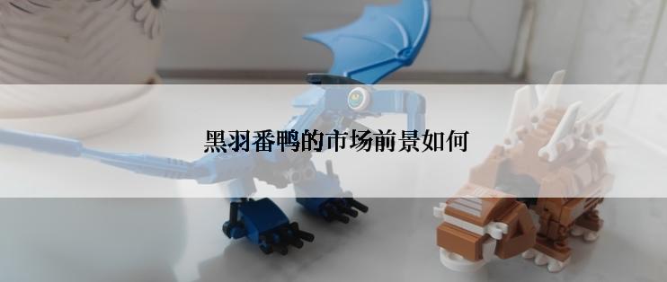  黑羽番鸭的市场前景如何