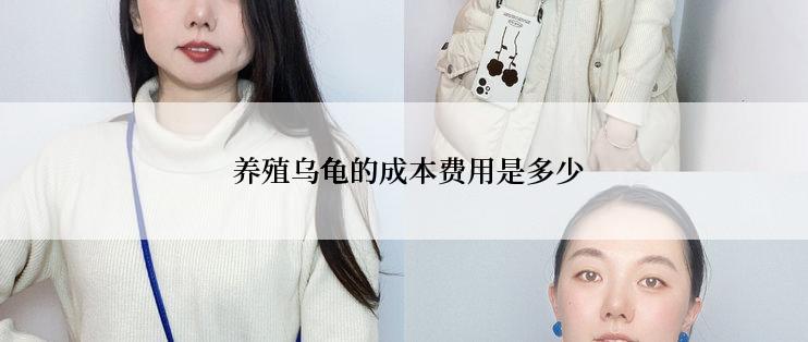  养殖乌龟的成本费用是多少