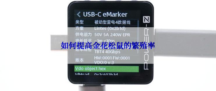 如何提高金花松鼠的繁殖率