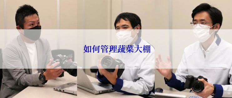  如何管理蔬菜大棚
