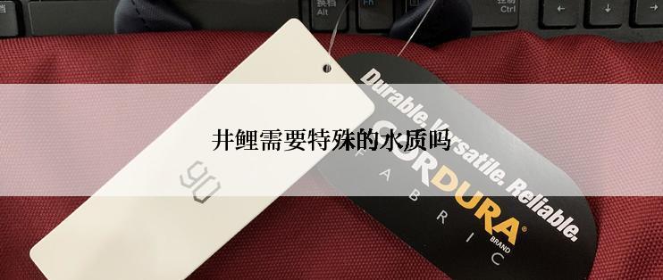 井鲤需要特殊的水质吗