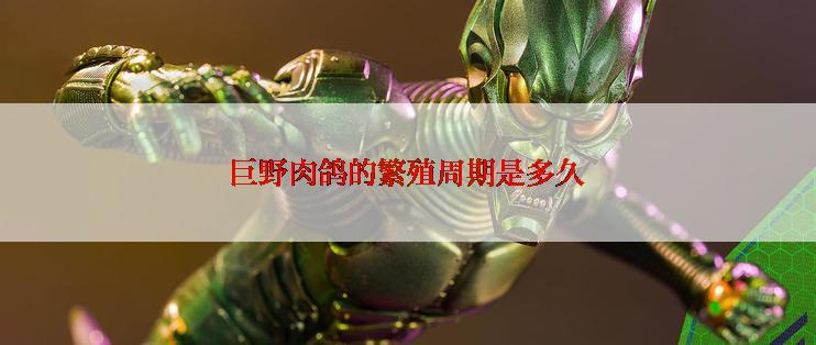 巨野肉鸽的繁殖周期是多久