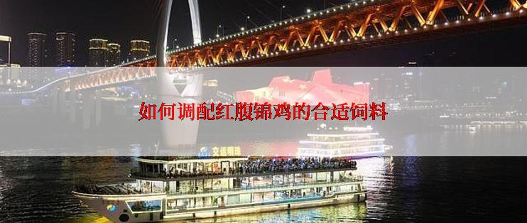 如何调配红腹锦鸡的合适饲料