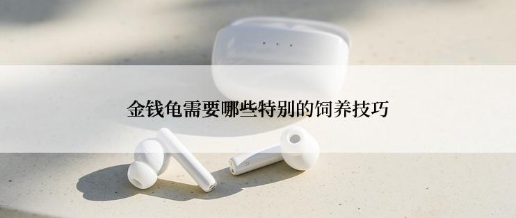 金钱龟需要哪些特别的饲养技巧