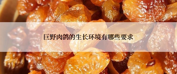 巨野肉鸽的生长环境有哪些要求