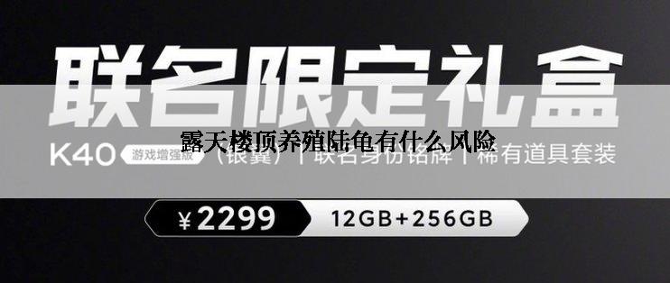  露天楼顶养殖陆龟有什么风险