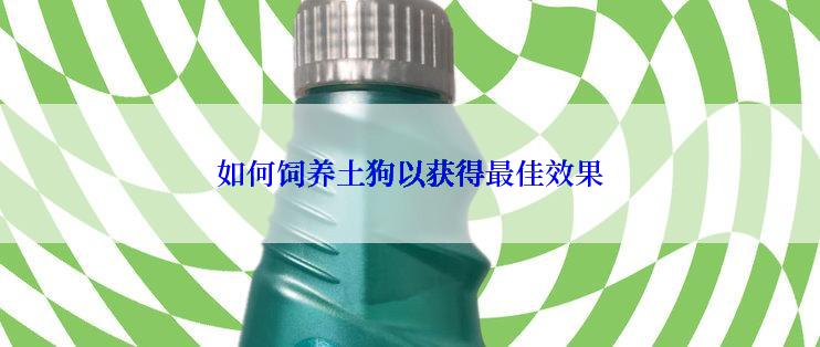 如何饲养土狗以获得最佳效果