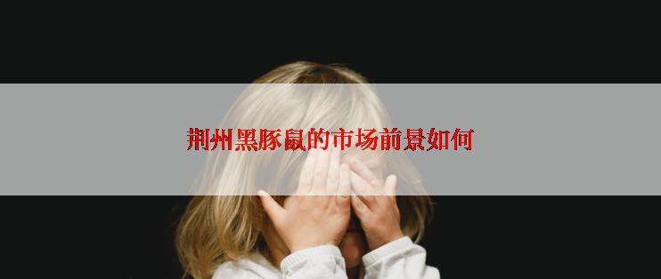 荆州黑豚鼠的市场前景如何