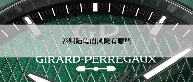 养殖陆龟的风险有哪些