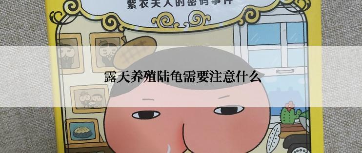  露天养殖陆龟需要注意什么