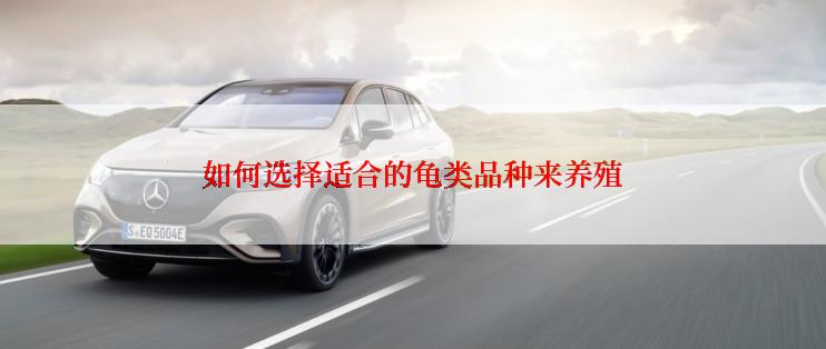 如何选择适合的龟类品种来养殖