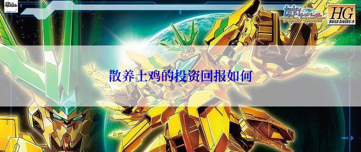 散养土鸡的投资回报如何