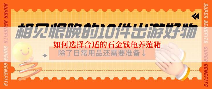 如何选择合适的石金钱龟养殖箱