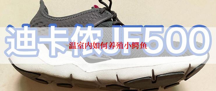 温室内如何养殖小鳄鱼