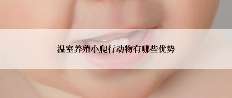 温室养殖小爬行动物有哪些优势