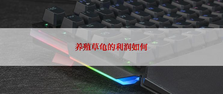 养殖草龟的利润如何