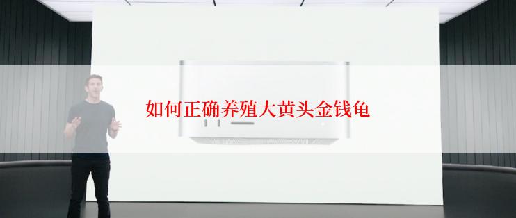 如何正确养殖大黄头金钱龟