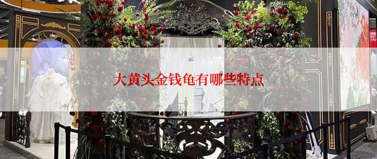 大黄头金钱龟有哪些特点