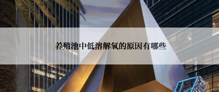 养殖池中低溶解氧的原因有哪些