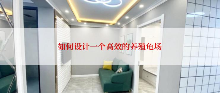 如何设计一个高效的养殖龟场