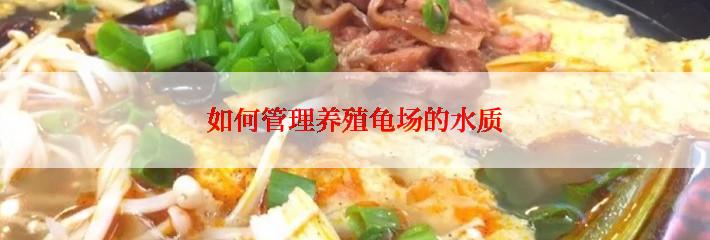 如何管理养殖龟场的水质