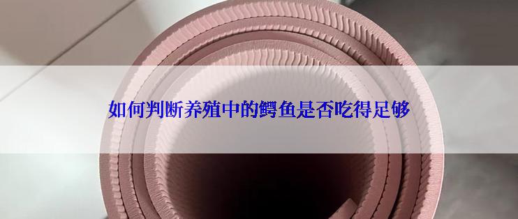 如何判断养殖中的鳄鱼是否吃得足够