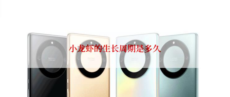 小龙虾的生长周期是多久