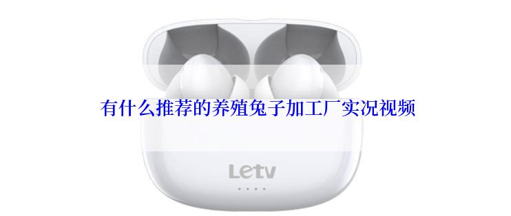 有什么推荐的养殖兔子加工厂实况视频