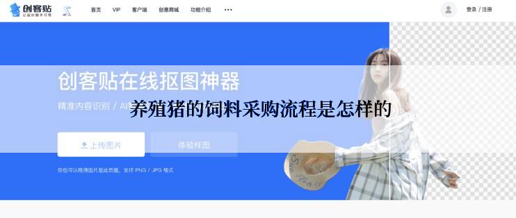  养殖猪的饲料采购流程是怎样的