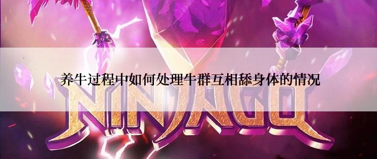  养牛过程中如何处理牛群互相舔身体的情况