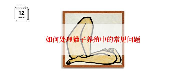 如何处理獾子养殖中的常见问题