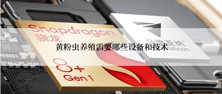  黄粉虫养殖需要哪些设备和技术