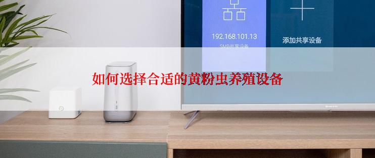如何选择合适的黄粉虫养殖设备
