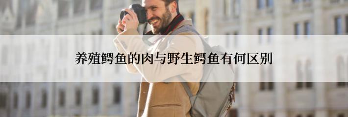 养殖鳄鱼的肉与野生鳄鱼有何区别