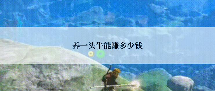 养一头牛能赚多少钱
