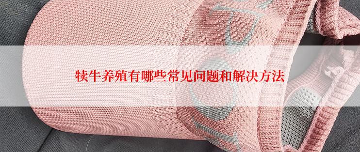 犊牛养殖有哪些常见问题和解决方法