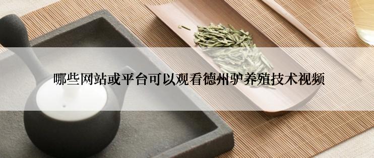  哪些网站或平台可以观看德州驴养殖技术视频